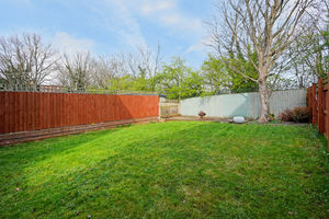 Birchlands View